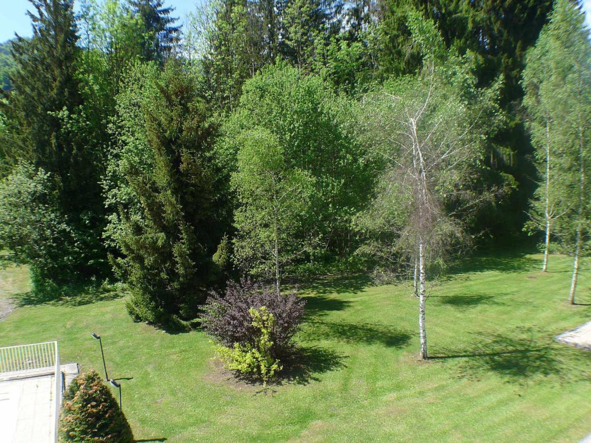 Appartement Confortable Avec Piscines, Terrasse Et Parking A Samoens - Fr-1-629-100 エクステリア 写真